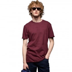 T-SHIRT SPLENDID 53-206-023 (ΜΠΟΡΝΤΟ)